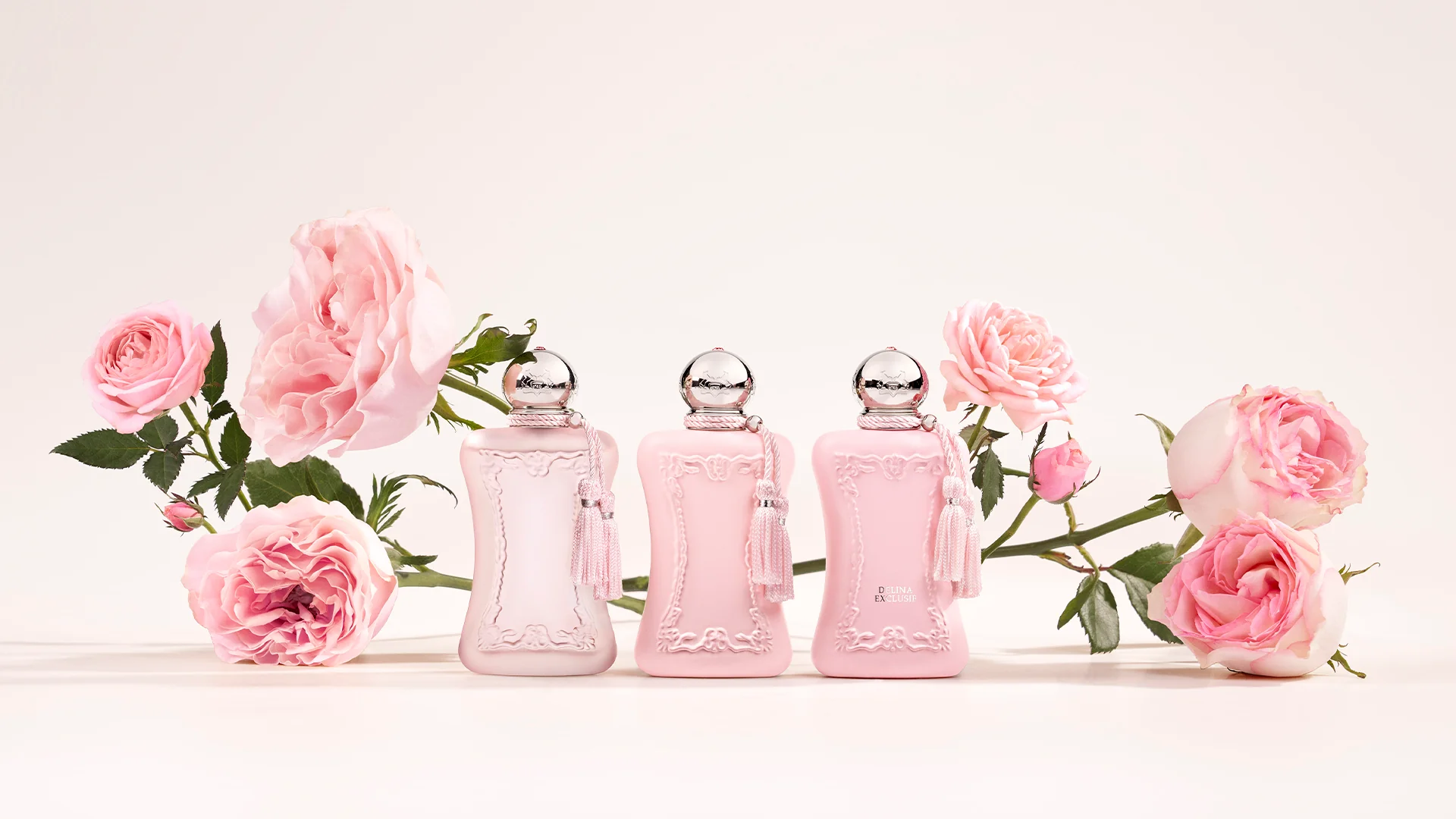 The Essence of French Royalty